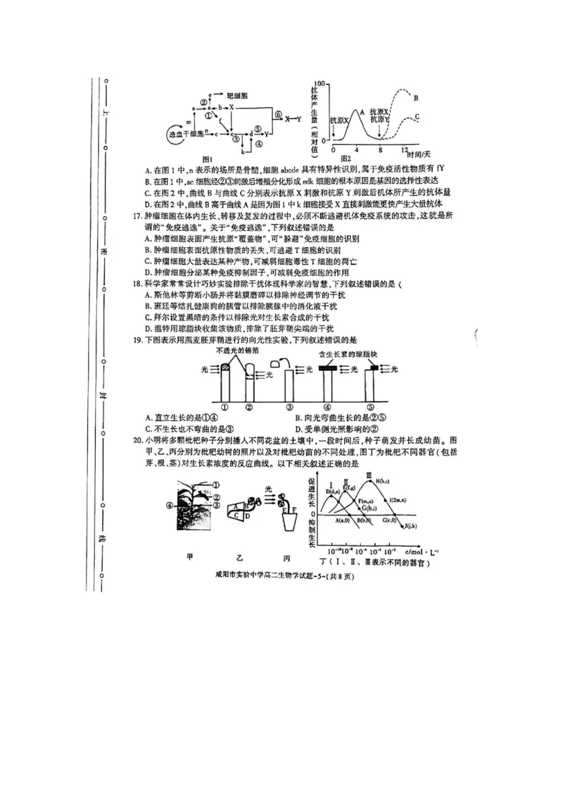 生物_2024-2025高二（7-7月题库）_2024年11月试卷_1112陕西省咸阳市实验中学2024-2025学高二上学期第二次质量检测