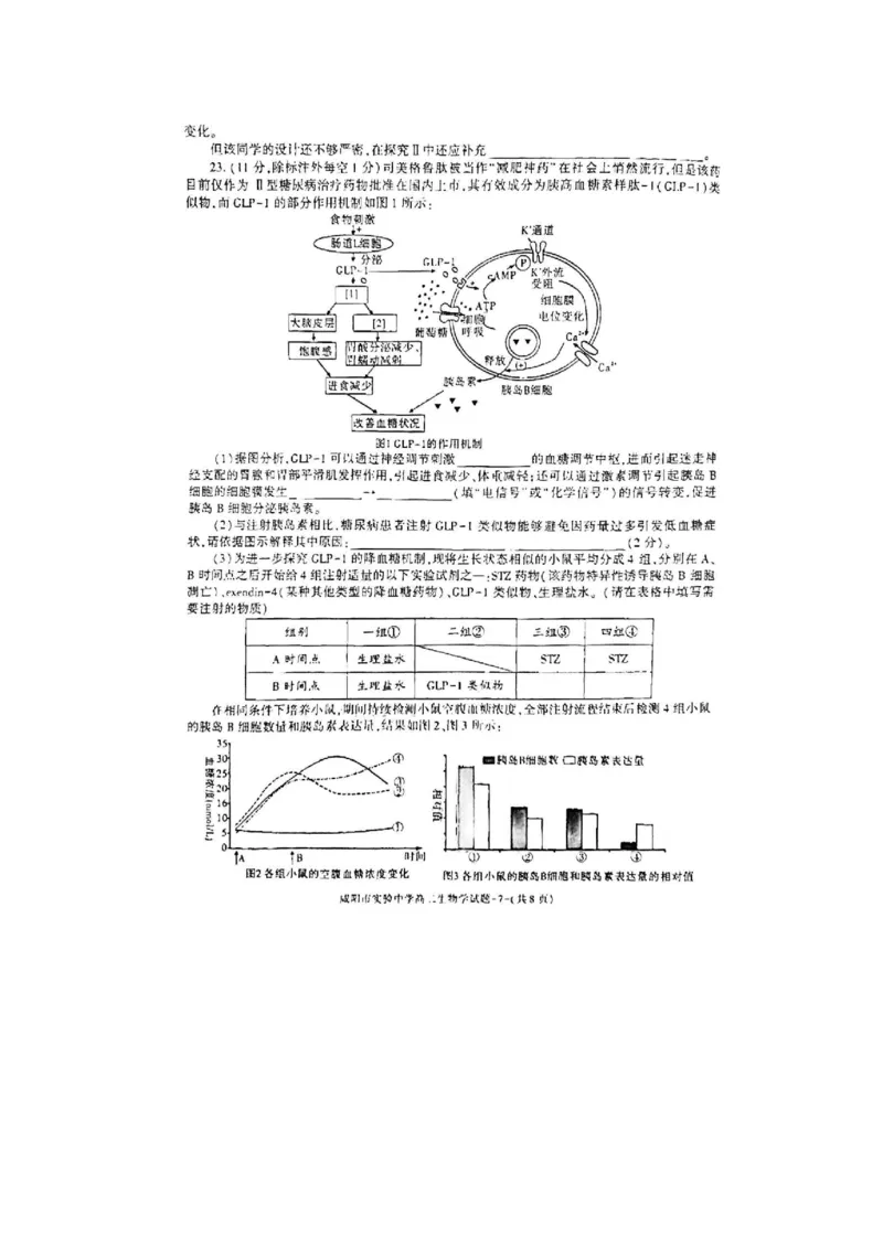生物_2024-2025高二（7-7月题库）_2024年11月试卷_1112陕西省咸阳市实验中学2024-2025学高二上学期第二次质量检测