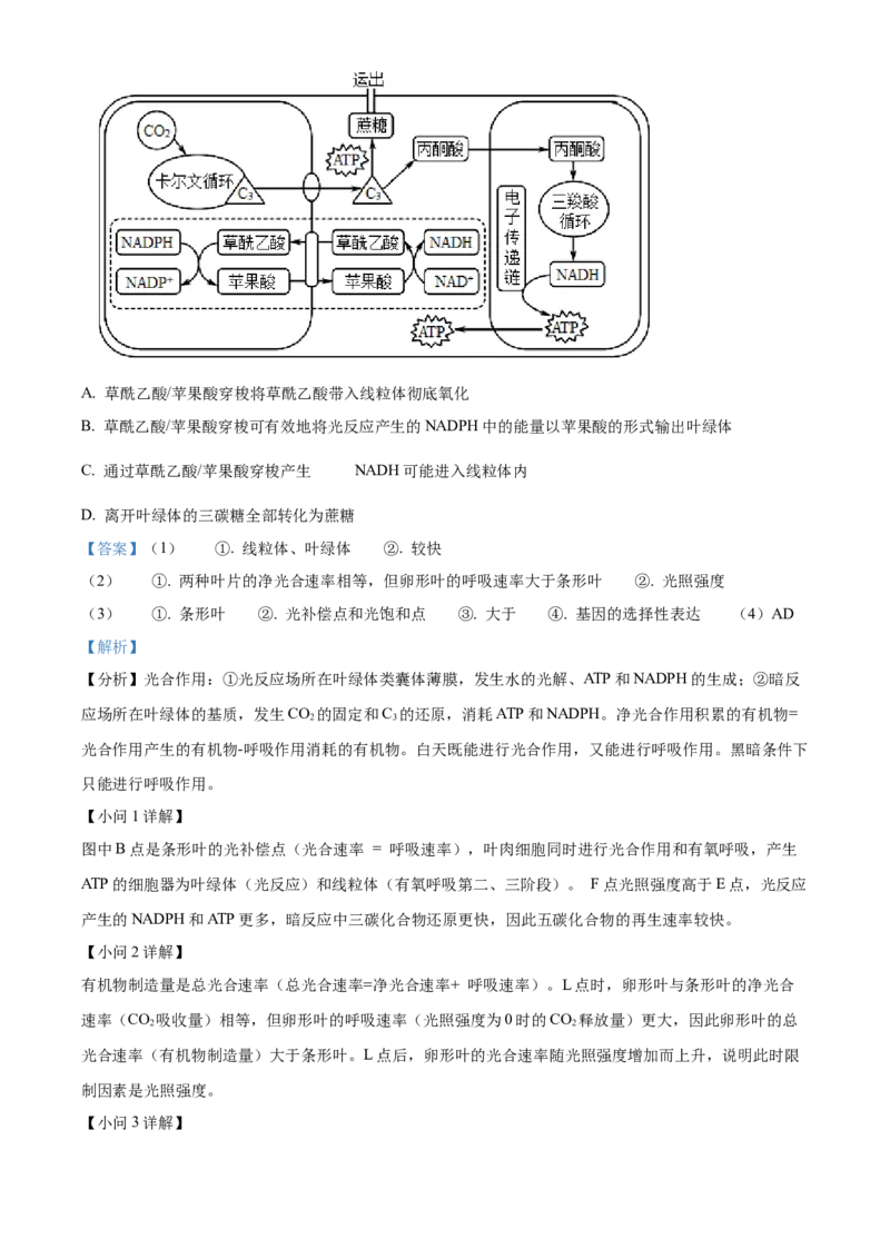 浙江省杭州地区（含周边）重点中学2025-2026学年高二上学期11月期中生物试题Word版含解析_251206浙江省杭州市地区(含周边)重点中学2025学年第一学期高二年级期中考试（全）