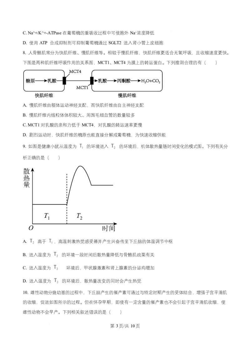 湖南省长沙市第一中学2025-2026学年高二上学期10月月考生物试题（原卷版）_2025年10月高二试卷_251024湖南省长沙市第一中学2025-2026学年高二上学期10月月考（全）