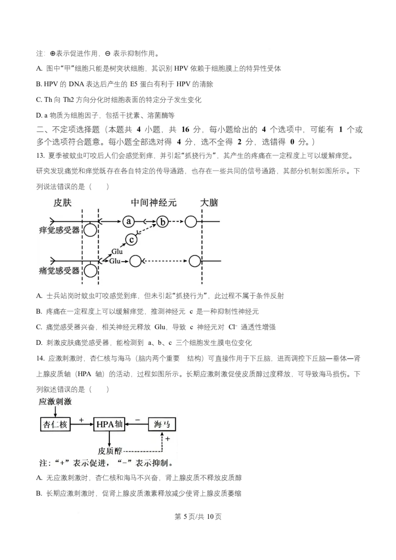 湖南省长沙市第一中学2025-2026学年高二上学期10月月考生物试题（原卷版）_2025年10月高二试卷_251024湖南省长沙市第一中学2025-2026学年高二上学期10月月考（全）