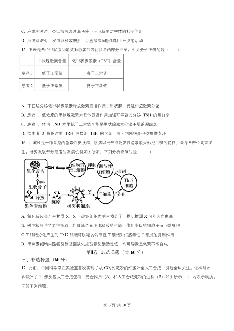湖南省长沙市第一中学2025-2026学年高二上学期10月月考生物试题（原卷版）_2025年10月高二试卷_251024湖南省长沙市第一中学2025-2026学年高二上学期10月月考（全）