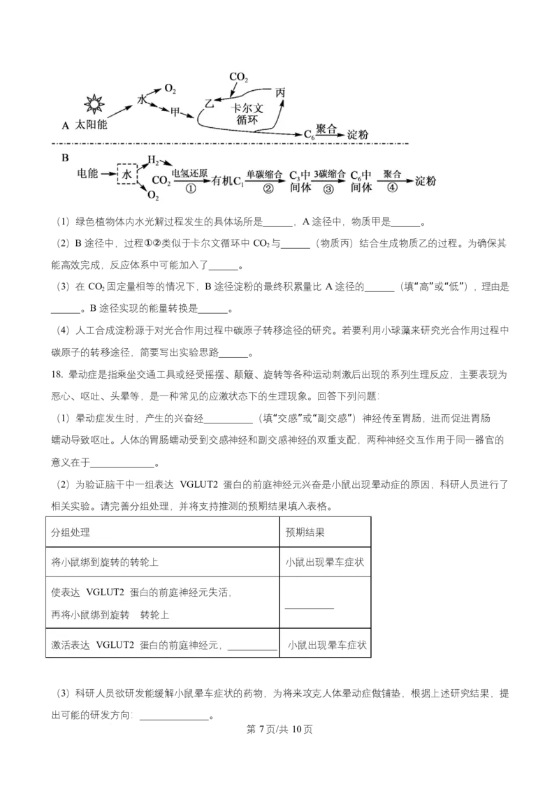湖南省长沙市第一中学2025-2026学年高二上学期10月月考生物试题（原卷版）_2025年10月高二试卷_251024湖南省长沙市第一中学2025-2026学年高二上学期10月月考（全）
