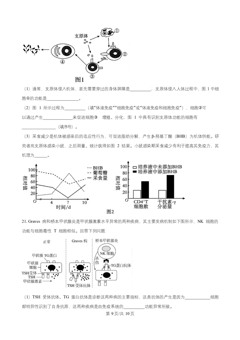 湖南省长沙市第一中学2025-2026学年高二上学期10月月考生物试题（原卷版）_2025年10月高二试卷_251024湖南省长沙市第一中学2025-2026学年高二上学期10月月考（全）