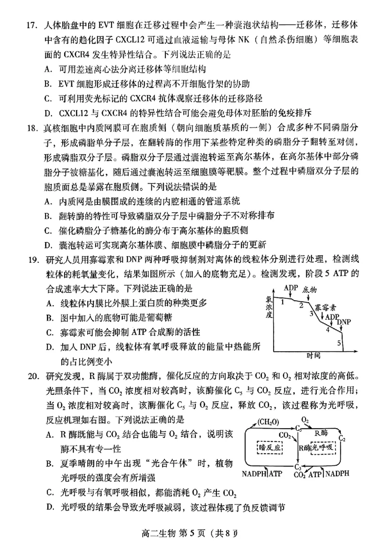 生物试题卷_2024-2025高三（6-6月题库）_2024年07月试卷_240712山东省潍坊市2024年7月高二年级下学期期末学习质量检测_山东省潍坊市2024年7月高二年级下学期期末学习质量检测生物