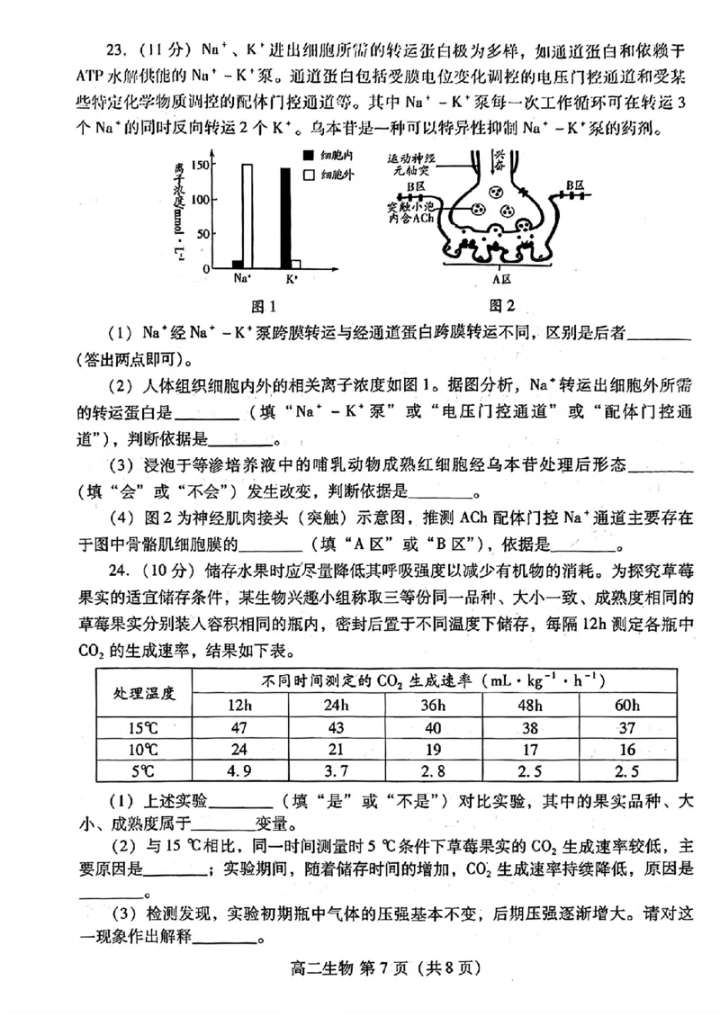 生物试题卷_2024-2025高三（6-6月题库）_2024年07月试卷_240712山东省潍坊市2024年7月高二年级下学期期末学习质量检测_山东省潍坊市2024年7月高二年级下学期期末学习质量检测生物