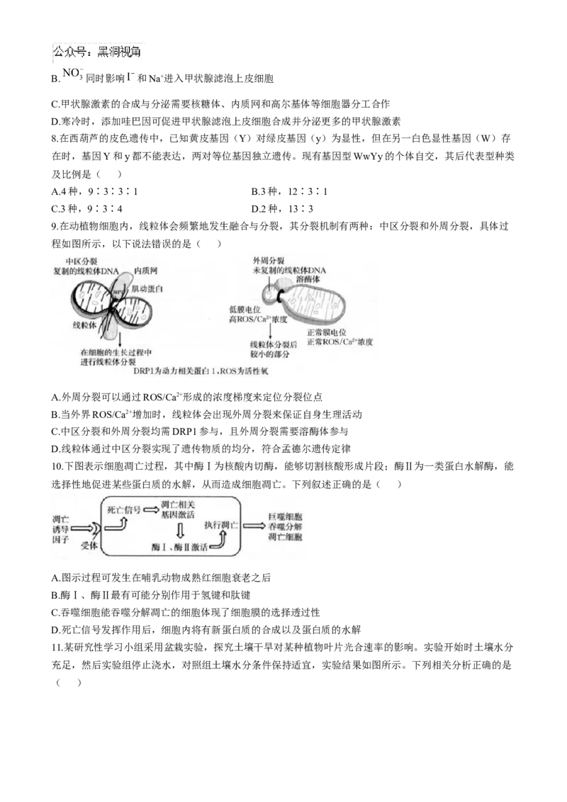 福建省龙岩市一级联盟校2024-2025学年高三上学期11月期中联考生物试题_2024-2025高三（6-6月题库）_2024年11月试卷_1113福建省龙岩市一级校联盟2024-2025学年高三上学期11月期中考试（全科）