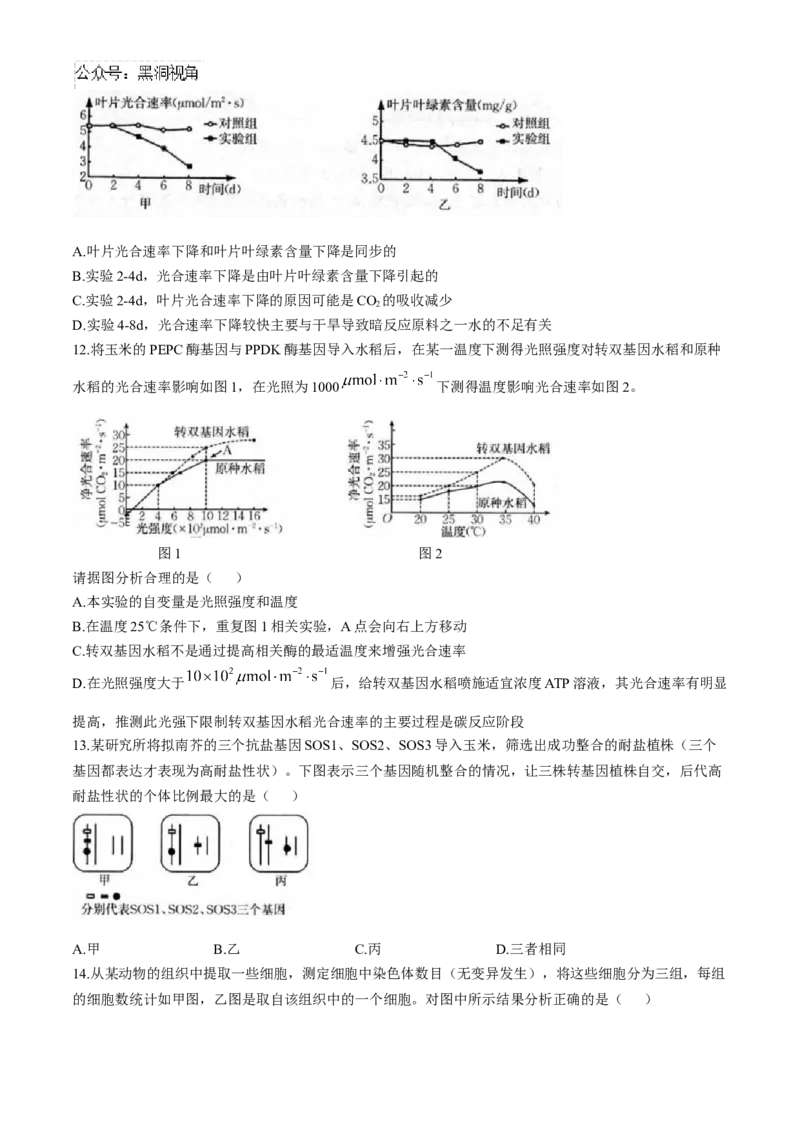 福建省龙岩市一级联盟校2024-2025学年高三上学期11月期中联考生物试题_2024-2025高三（6-6月题库）_2024年11月试卷_1113福建省龙岩市一级校联盟2024-2025学年高三上学期11月期中考试（全科）