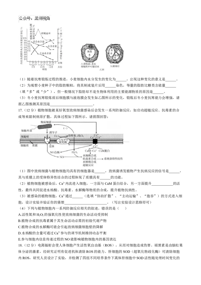 福建省龙岩市一级联盟校2024-2025学年高三上学期11月期中联考生物试题_2024-2025高三（6-6月题库）_2024年11月试卷_1113福建省龙岩市一级校联盟2024-2025学年高三上学期11月期中考试（全科）