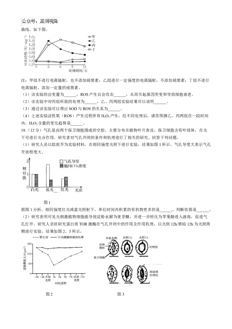 福建省龙岩市一级联盟校2024-2025学年高三上学期11月期中联考生物试题_2024-2025高三（6-6月题库）_2024年11月试卷_1113福建省龙岩市一级校联盟2024-2025学年高三上学期11月期中考试（全科）