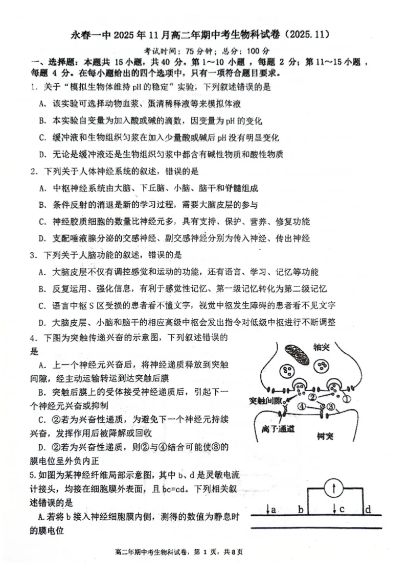 福建省永春第一中学2025-2026学年高二上学期11月期中生物试题_251203福建省泉州市永春第一中学2025-2026学年高二上学期11月期中