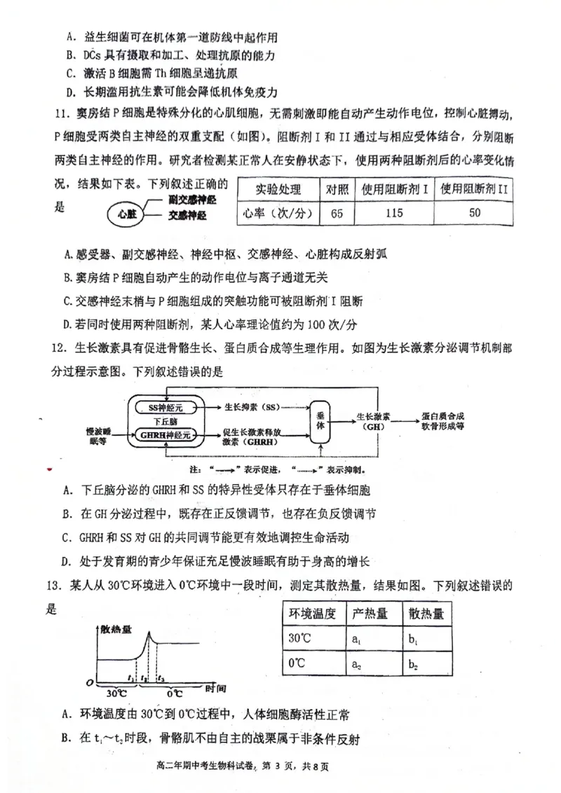 福建省永春第一中学2025-2026学年高二上学期11月期中生物试题_251203福建省泉州市永春第一中学2025-2026学年高二上学期11月期中