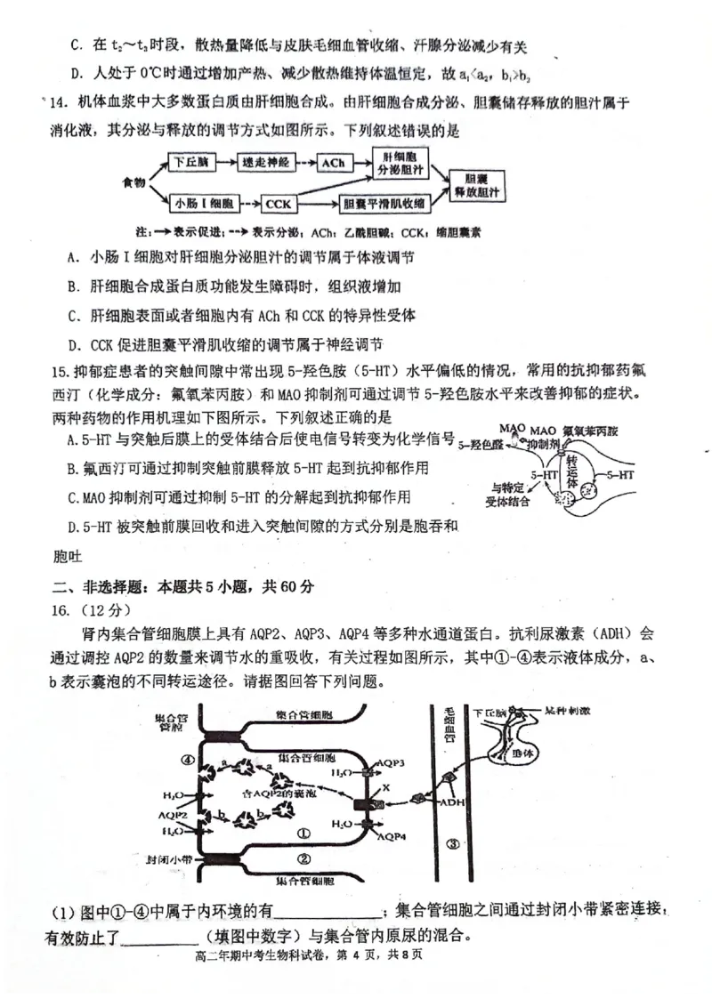 福建省永春第一中学2025-2026学年高二上学期11月期中生物试题_251203福建省泉州市永春第一中学2025-2026学年高二上学期11月期中