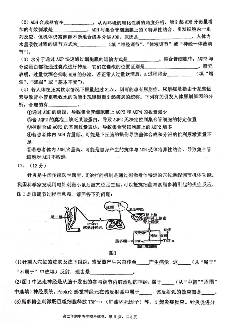 福建省永春第一中学2025-2026学年高二上学期11月期中生物试题_251203福建省泉州市永春第一中学2025-2026学年高二上学期11月期中