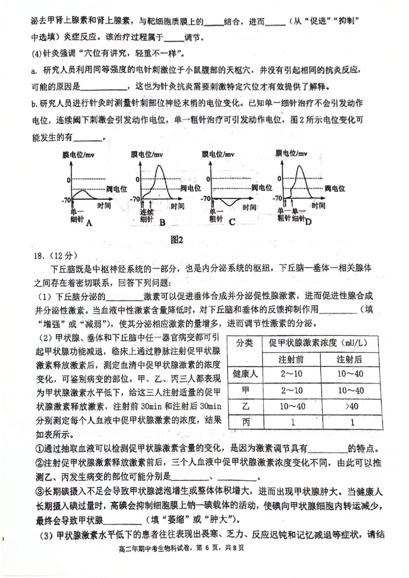 福建省永春第一中学2025-2026学年高二上学期11月期中生物试题_251203福建省泉州市永春第一中学2025-2026学年高二上学期11月期中