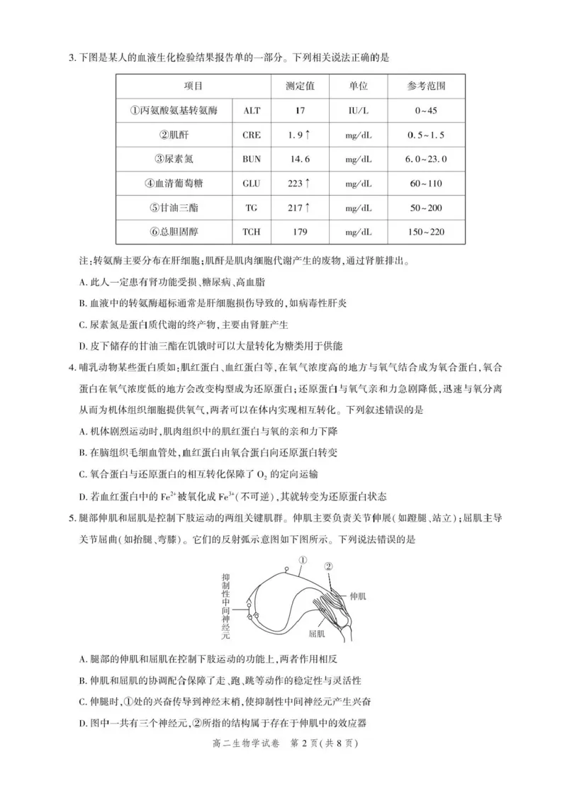 湖北省圆创联盟2025-2026学年高二上学期11月期中阶段练习生物试题含答案_2025年11月高二试卷_251126湖北省圆创教育联盟2025-2026学年高二上学期11月阶段性练习（期中）（全）