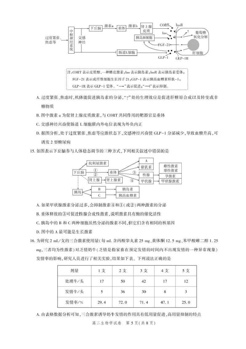 湖北省圆创联盟2025-2026学年高二上学期11月期中阶段练习生物试题含答案_2025年11月高二试卷_251126湖北省圆创教育联盟2025-2026学年高二上学期11月阶段性练习（期中）（全）
