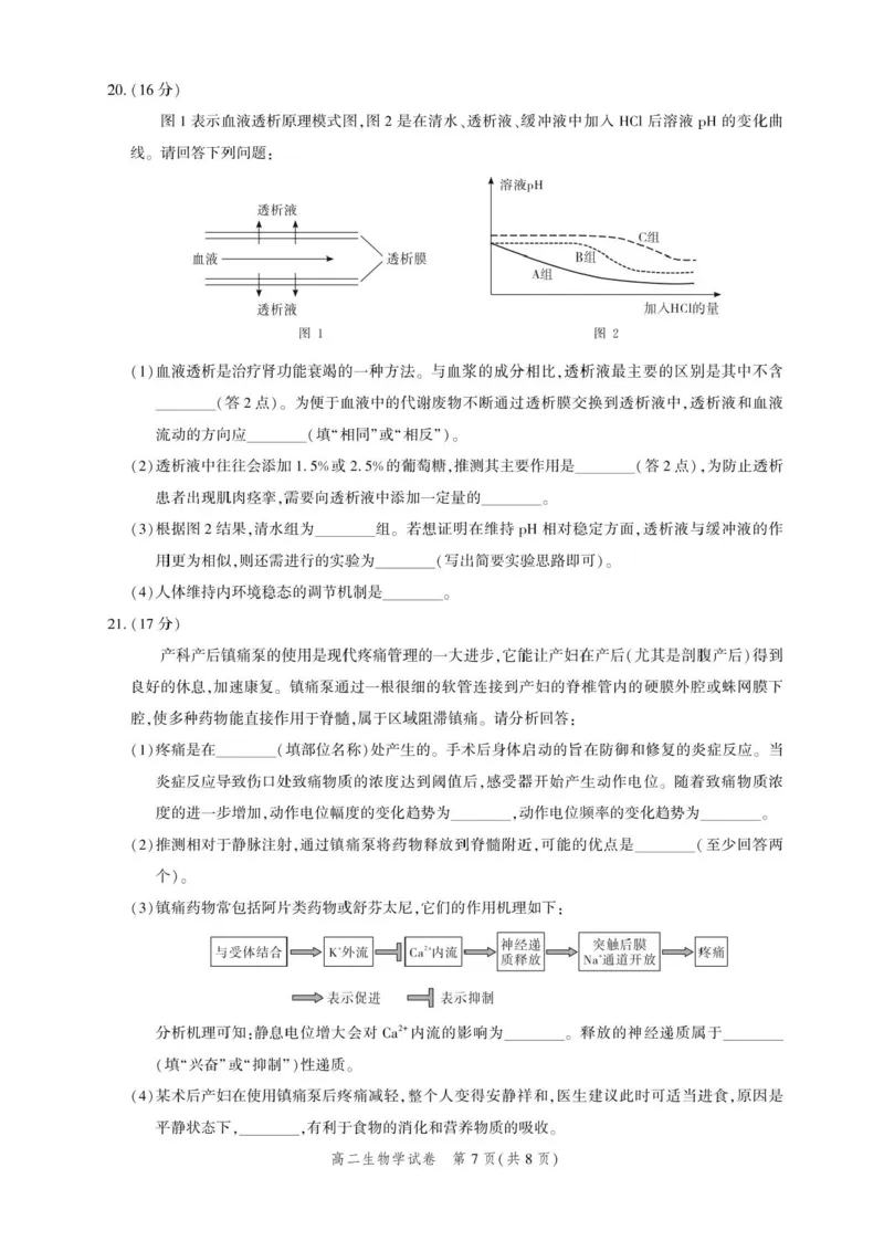 湖北省圆创联盟2025-2026学年高二上学期11月期中阶段练习生物试题含答案_2025年11月高二试卷_251126湖北省圆创教育联盟2025-2026学年高二上学期11月阶段性练习（期中）（全）
