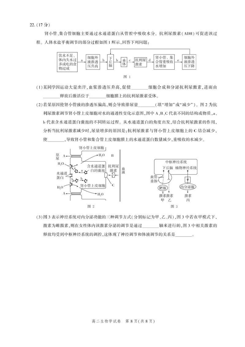 湖北省圆创联盟2025-2026学年高二上学期11月期中阶段练习生物试题含答案_2025年11月高二试卷_251126湖北省圆创教育联盟2025-2026学年高二上学期11月阶段性练习（期中）（全）