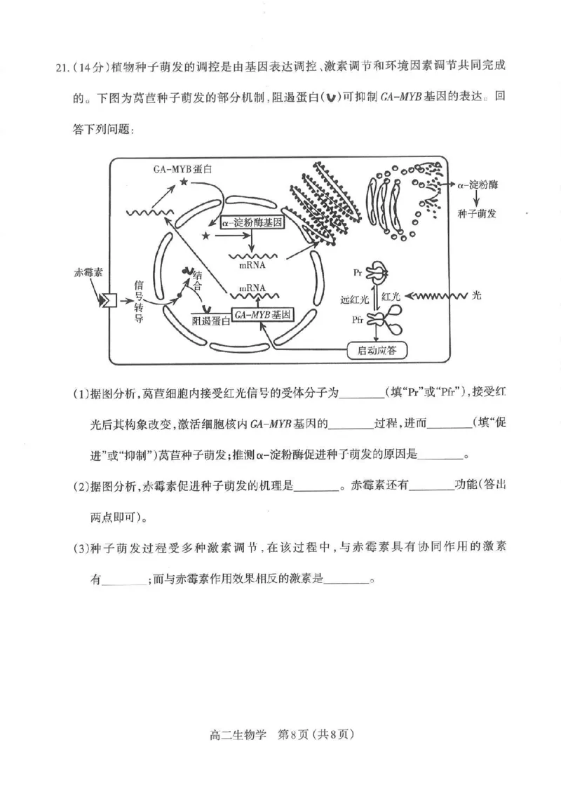 生物太原市2025-2026学年第一学期高二年级期中学业诊断_2025年11月高二试卷_251125山西太原市2025-2026学年第一学期高二年级期中学业诊断（全）