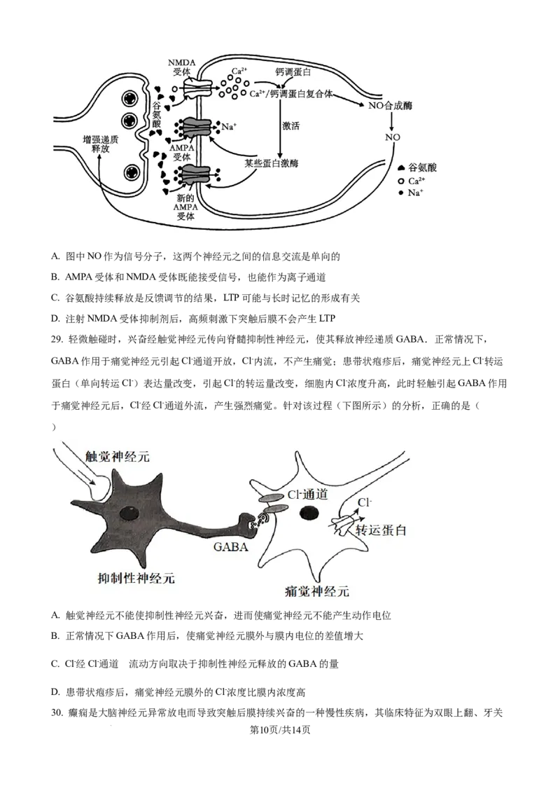 精品解析：湖北省武汉市第二中学2025-2026学年高二上学期９月月考生物试卷（原卷版）_2025年10月高二试卷_251011湖北省武汉市第二中学2025-2026学年高二上学期9月月考