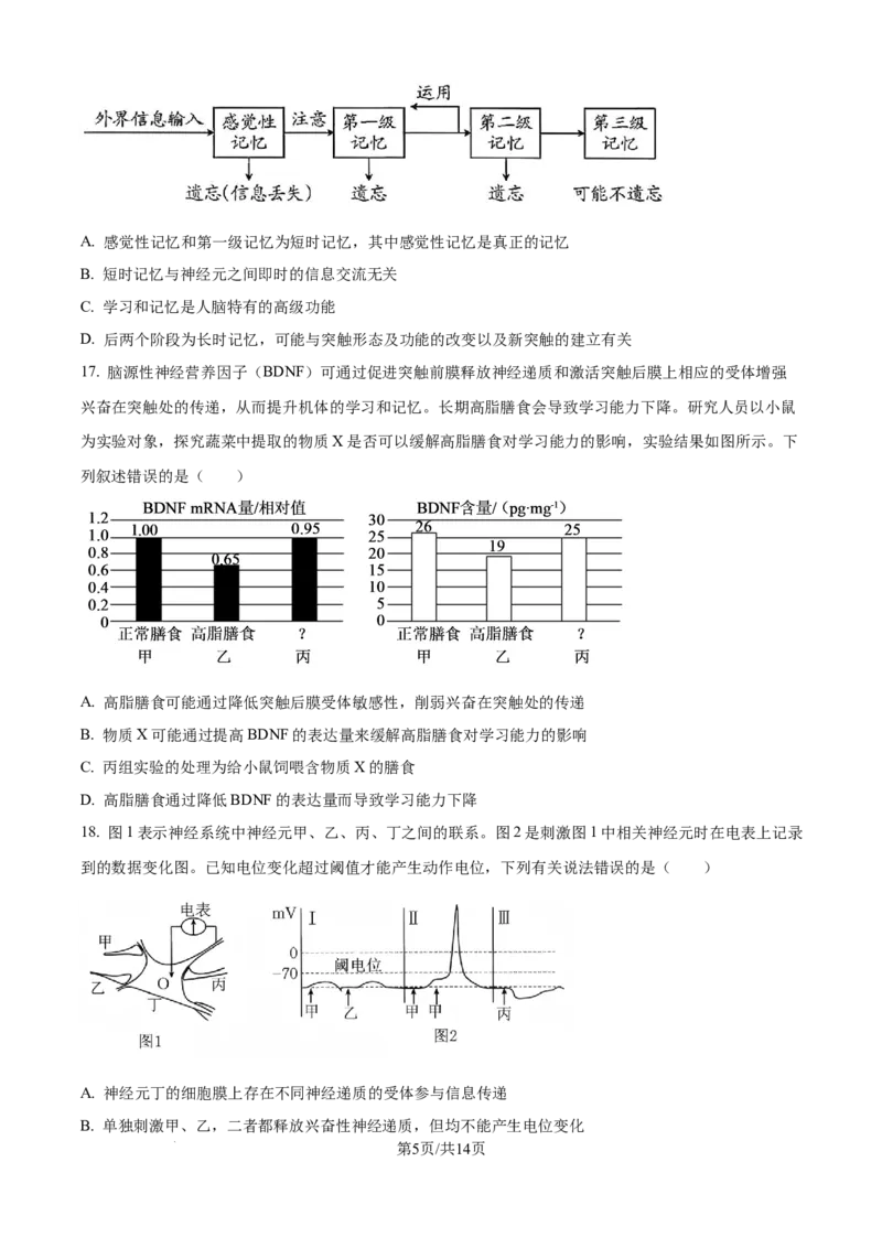 精品解析：湖北省武汉市第二中学2025-2026学年高二上学期９月月考生物试卷（原卷版）_2025年10月高二试卷_251011湖北省武汉市第二中学2025-2026学年高二上学期9月月考
