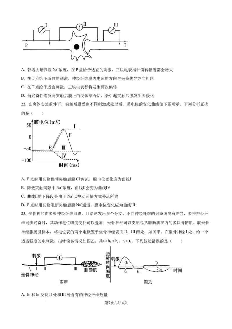 精品解析：湖北省武汉市第二中学2025-2026学年高二上学期９月月考生物试卷（原卷版）_2025年10月高二试卷_251011湖北省武汉市第二中学2025-2026学年高二上学期9月月考