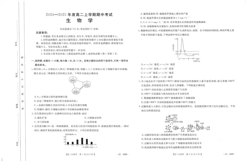 生物试题_2024-2025高二（7-7月题库）_2024年12月试卷_1204金太阳广东省名校联盟2024-2025学年高二期中_广东省部分名校2024-2025学年高二上学期期中考试生物试题