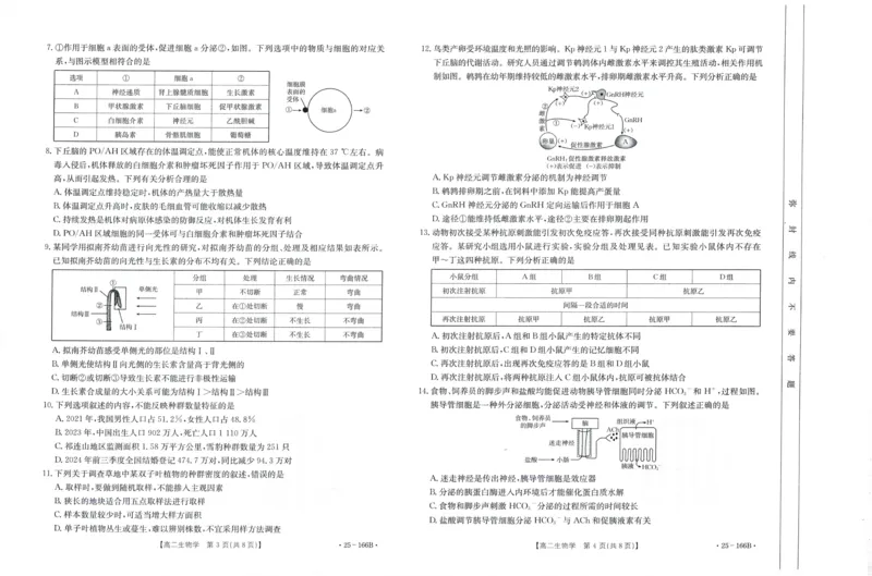 生物试题_2024-2025高二（7-7月题库）_2024年12月试卷_1204金太阳广东省名校联盟2024-2025学年高二期中_广东省部分名校2024-2025学年高二上学期期中考试生物试题