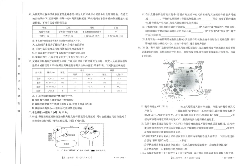 生物试题_2024-2025高二（7-7月题库）_2024年12月试卷_1204金太阳广东省名校联盟2024-2025学年高二期中_广东省部分名校2024-2025学年高二上学期期中考试生物试题