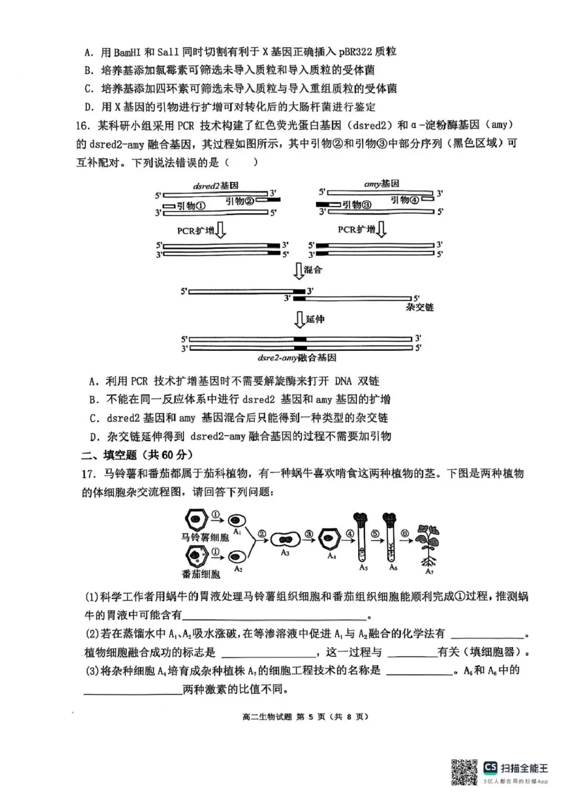 高二生物_2024-2025高二（7-7月题库）_2025年6月试卷_0609广西来宾市2024-2025学年高二下学期5月期中考试_广西壮族自治区来宾市2024-2025学年高二下学期5月期中生物试题（图片版，含解析）