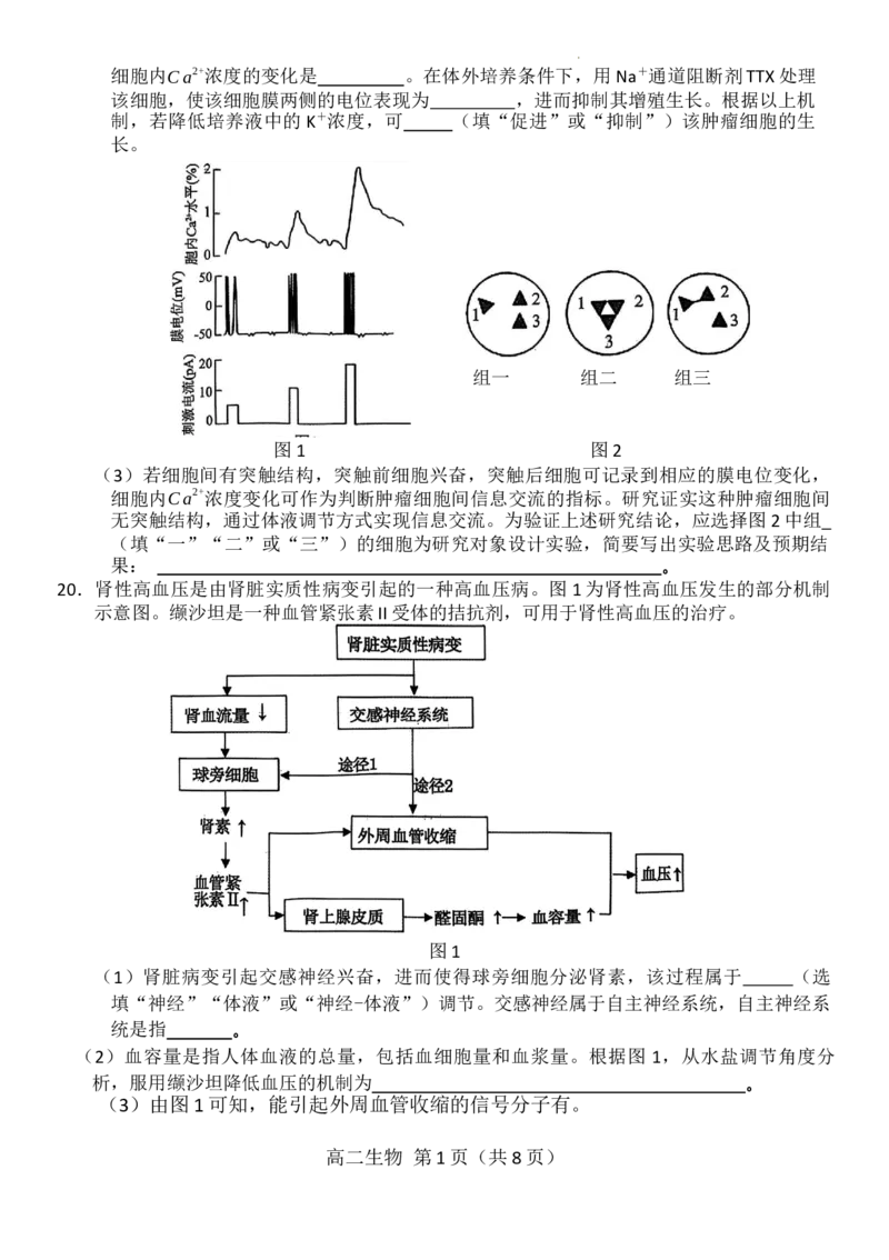 生物_2025年11月高二试卷_251124河南省南阳市2025-2026学年高二上学期11月期中质量评估_河南省南阳市2025-2026学年高二上学期11月期中生物试题含答案