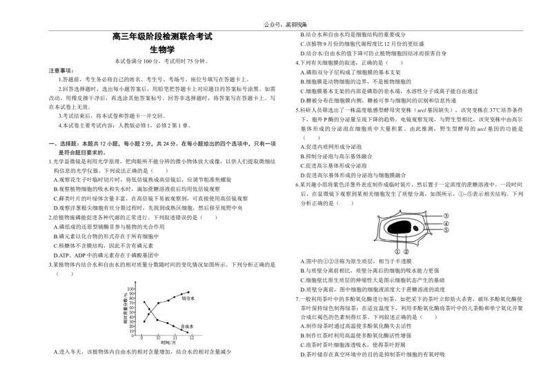 湖南省部分学校2024-2025学年高三上学期10月阶段检测联合考试生物试题+答案_2024-2025高三（6-6月题库）_2024年10月试卷_1017湖南省金太阳2024-2025学年高三上学期10月阶段检测联合考试