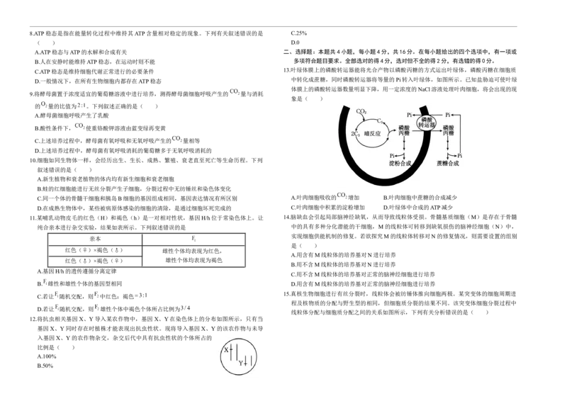 湖南省部分学校2024-2025学年高三上学期10月阶段检测联合考试生物试题+答案_2024-2025高三（6-6月题库）_2024年10月试卷_1017湖南省金太阳2024-2025学年高三上学期10月阶段检测联合考试