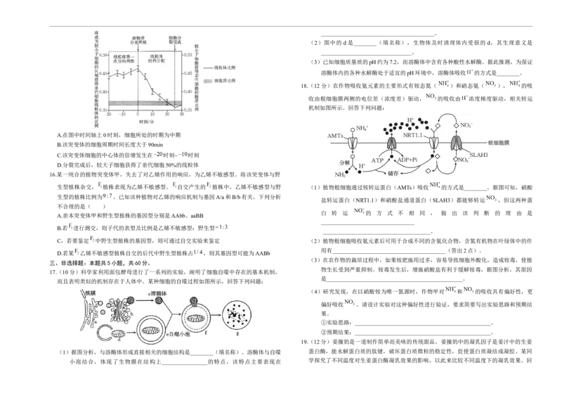 湖南省部分学校2024-2025学年高三上学期10月阶段检测联合考试生物试题+答案_2024-2025高三（6-6月题库）_2024年10月试卷_1017湖南省金太阳2024-2025学年高三上学期10月阶段检测联合考试