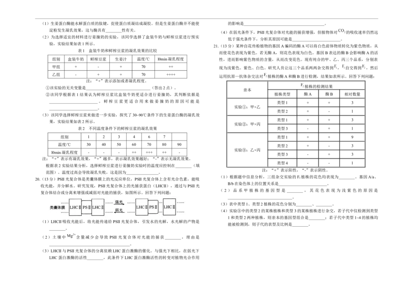 湖南省部分学校2024-2025学年高三上学期10月阶段检测联合考试生物试题+答案_2024-2025高三（6-6月题库）_2024年10月试卷_1017湖南省金太阳2024-2025学年高三上学期10月阶段检测联合考试