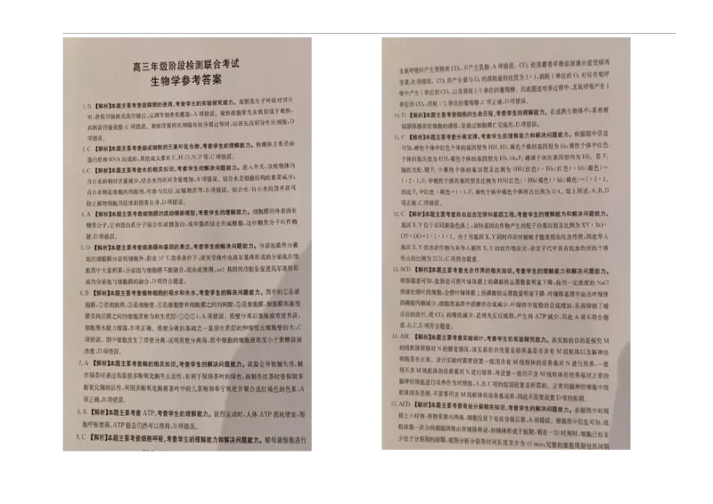 湖南省部分学校2024-2025学年高三上学期10月阶段检测联合考试生物试题+答案_2024-2025高三（6-6月题库）_2024年10月试卷_1017湖南省金太阳2024-2025学年高三上学期10月阶段检测联合考试