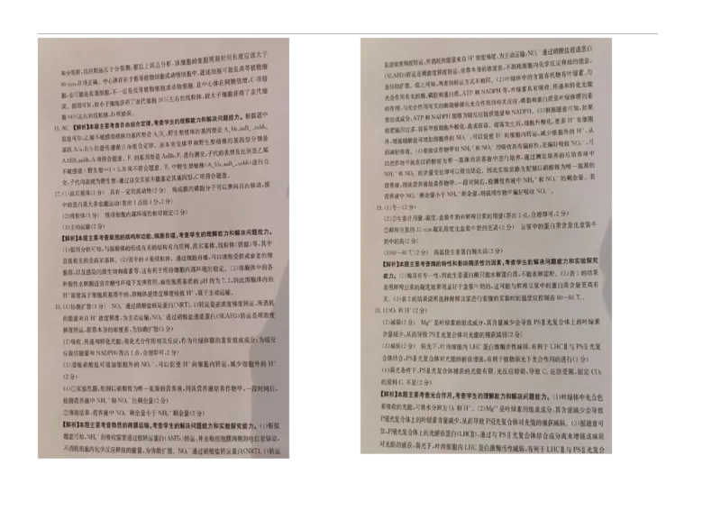湖南省部分学校2024-2025学年高三上学期10月阶段检测联合考试生物试题+答案_2024-2025高三（6-6月题库）_2024年10月试卷_1017湖南省金太阳2024-2025学年高三上学期10月阶段检测联合考试