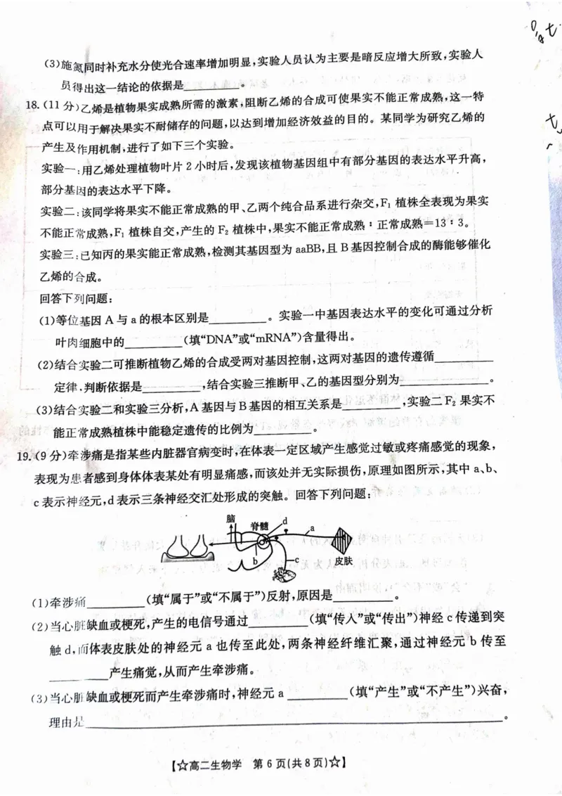 甘肃省普通高中2023-2024学年高二下学期期末教学质量统一检测+生物_2024-2025高二（7-7月题库）_2024年07月试卷_0712甘肃省普通高中2023-2024学年高二下学期期末教学质量统一检测