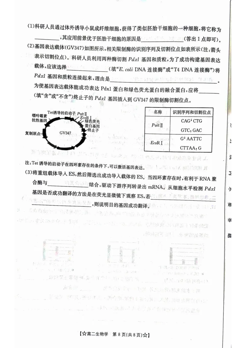 甘肃省普通高中2023-2024学年高二下学期期末教学质量统一检测+生物_2024-2025高二（7-7月题库）_2024年07月试卷_0712甘肃省普通高中2023-2024学年高二下学期期末教学质量统一检测