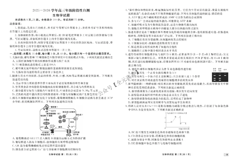 高三阶段性自测生物正文A版_2024-2026高三（6-6月题库）_2025年12月高三试卷_251231衡水金卷2025-2026学年高三上学期12月阶段性自测_贵州省部分学校2025-2026学年高三上学期12月月考生物试题