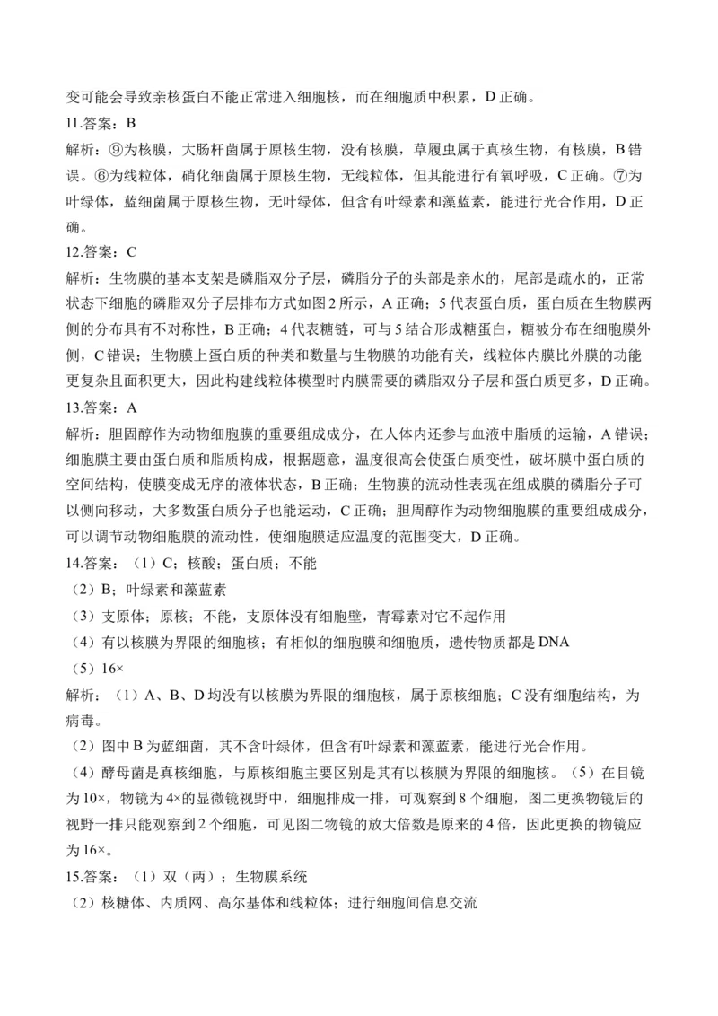 （2）细胞的结构与功能&mdash;&mdash;高考生物二轮复习易错重难提升（含解析）_2024-2025高三（6-6月题库）_2026年1月高三_260104高考生物二轮复习易错重难提升（含解析）