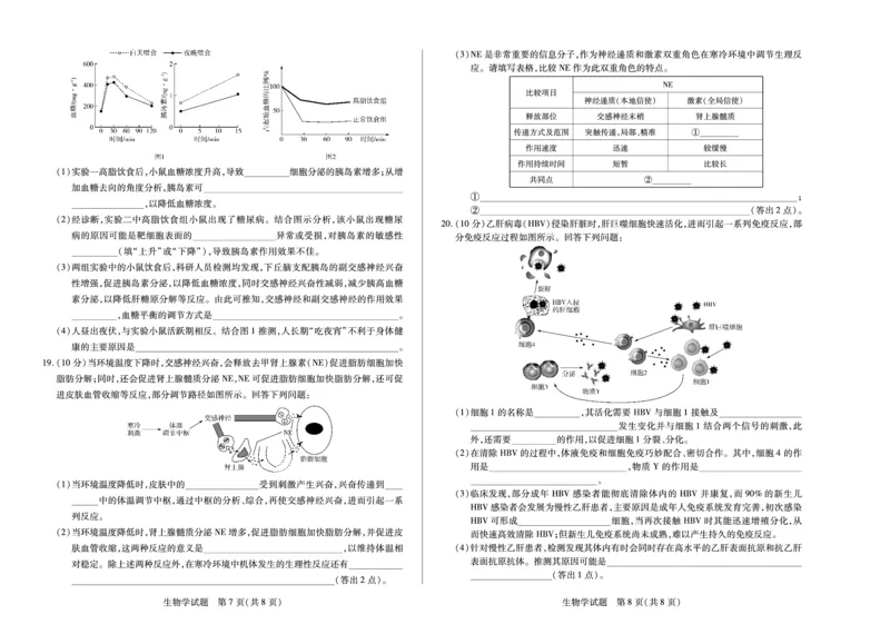 生物学天一大联考&middot;安徽省2025-2026学年高二上学期期中联考_2025年11月高二试卷_251123天一大联考&middot;安徽省2025-2026学年高二上学期期中联考（全）