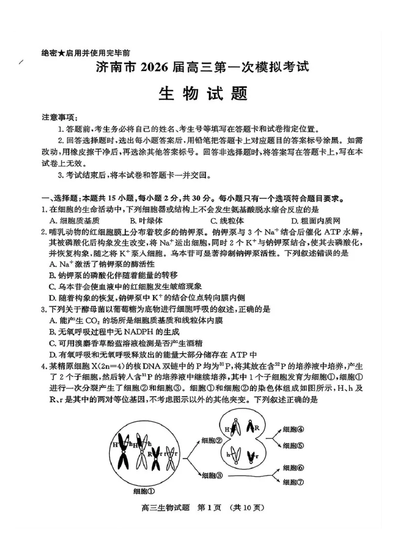生物试题_2024-2025高三（6-6月题库）_2026年1月高三_260131山东省济南市2025-2026年高三上第一次模拟考试（全科）_山东省济南市2025-2026年高三上第一次模拟考试生物