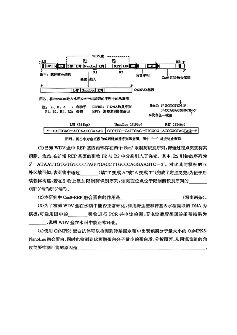 生物试题_2024-2025高三（6-6月题库）_2026年1月高三_260131山东省济南市2025-2026年高三上第一次模拟考试（全科）_山东省济南市2025-2026年高三上第一次模拟考试生物