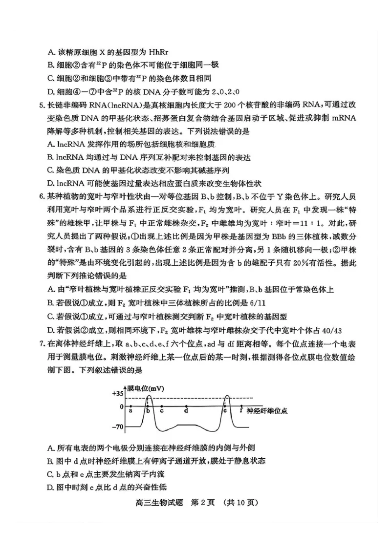 生物试题_2024-2025高三（6-6月题库）_2026年1月高三_260131山东省济南市2025-2026年高三上第一次模拟考试（全科）_山东省济南市2025-2026年高三上第一次模拟考试生物