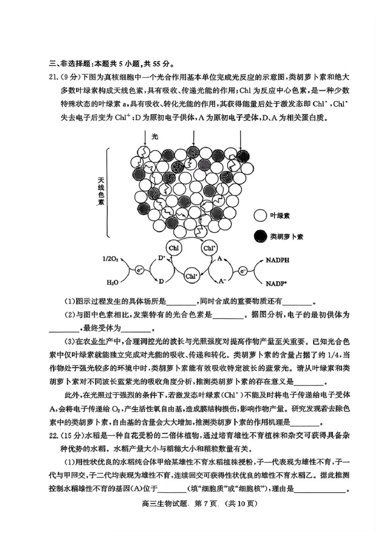 生物试题_2024-2025高三（6-6月题库）_2026年1月高三_260131山东省济南市2025-2026年高三上第一次模拟考试（全科）_山东省济南市2025-2026年高三上第一次模拟考试生物