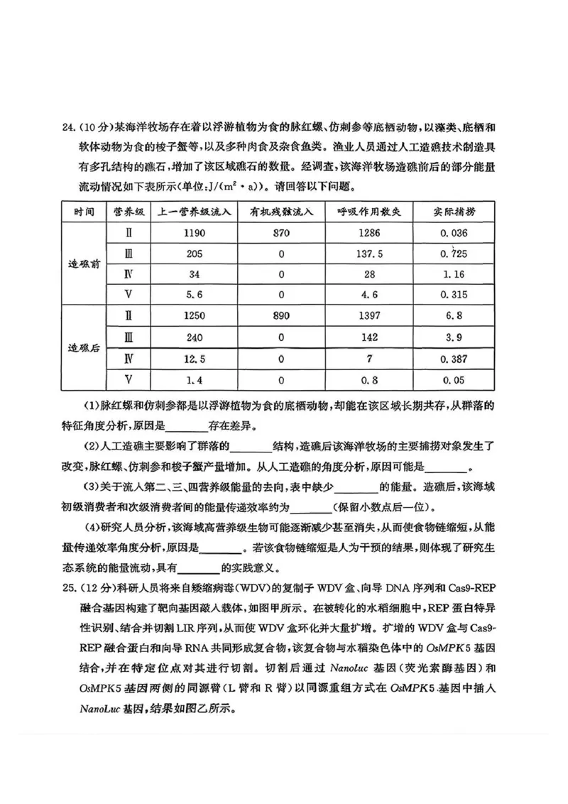 生物试题_2024-2025高三（6-6月题库）_2026年1月高三_260131山东省济南市2025-2026年高三上第一次模拟考试（全科）_山东省济南市2025-2026年高三上第一次模拟考试生物