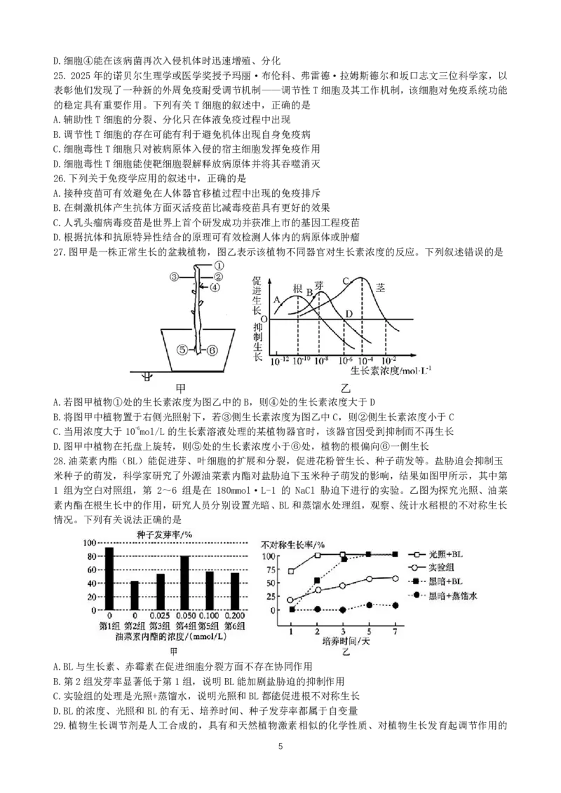 成都市第七中学2025-2026学年高二上学期11月半期考试生物_2025年11月高二试卷_251121四川省成都市第七中学2025-2026学年高二上学期11月半期考试（全）