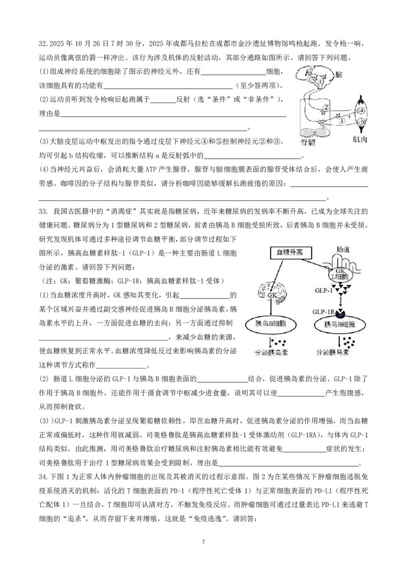 成都市第七中学2025-2026学年高二上学期11月半期考试生物_2025年11月高二试卷_251121四川省成都市第七中学2025-2026学年高二上学期11月半期考试（全）